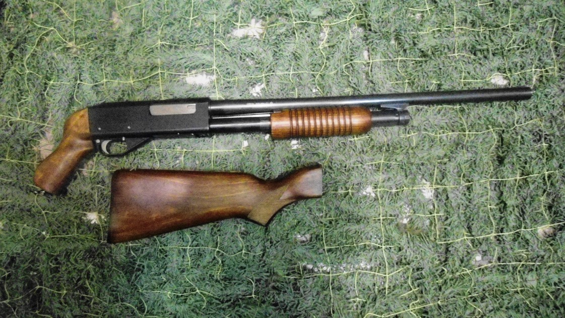 Иж 81 ф