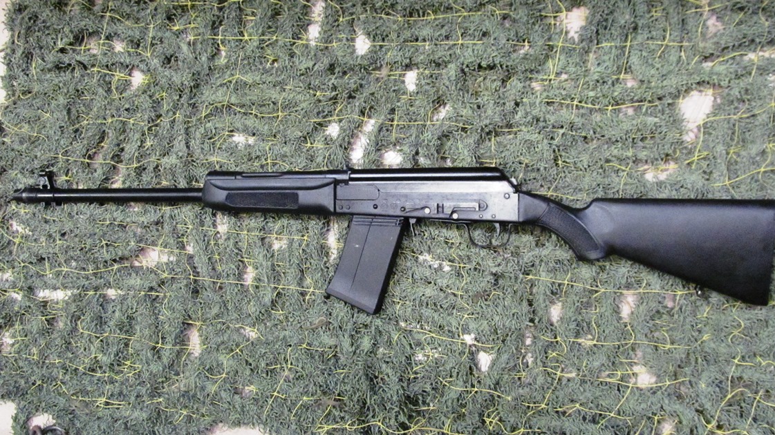 Сайга 12с картинки