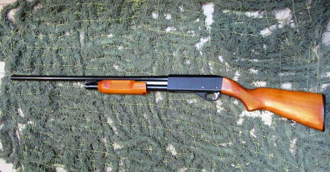 Иж 81 ф